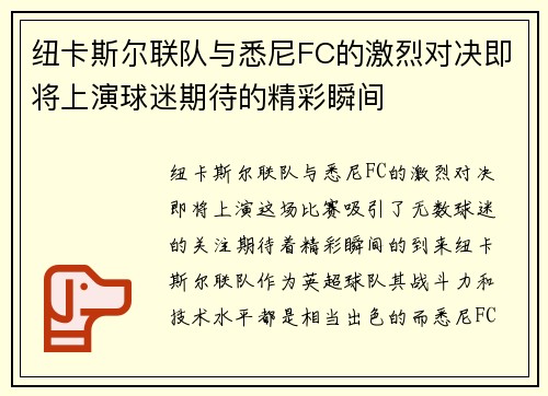 纽卡斯尔联队与悉尼FC的激烈对决即将上演球迷期待的精彩瞬间